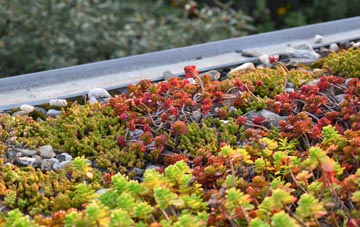 the cost of Sunbury green roof installation