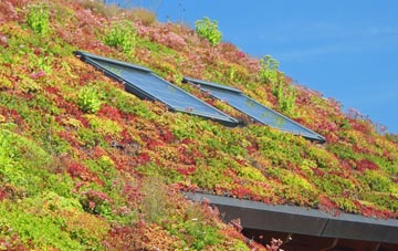 Sunbury living roof systems